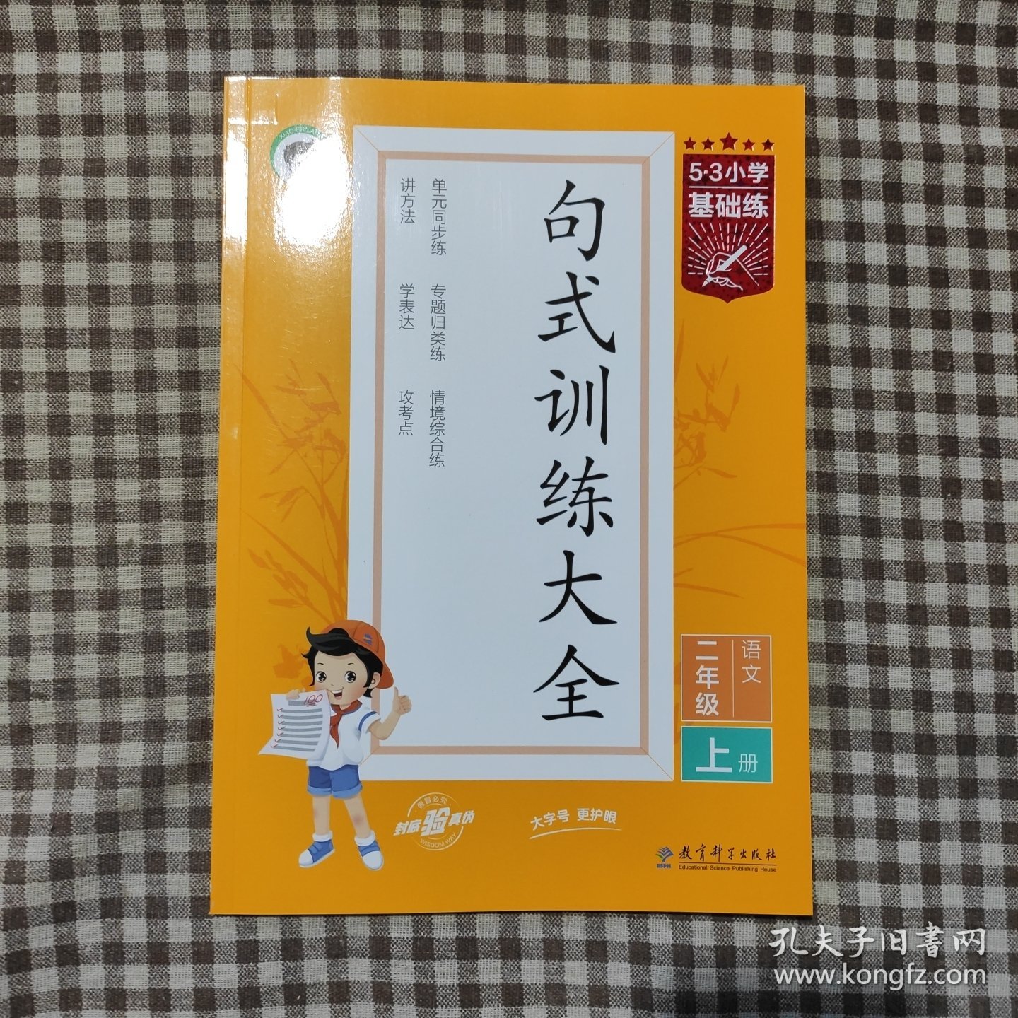 53小学基础练句式训练大全语文二年级上册2022版含参考答案