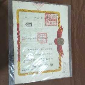 1955年上海蓬莱区第二中心小学毕业证书
