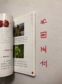 【正版现货，一版一印】浙南地区大棚番茄生产实用技术手册（图文版）设施越冬番茄产业是浙南地区最具区域优势、最有发展潜力的农业主导产业之一。据统计，浙南地区大棚越冬番茄现有栽培面积10万亩，总产量近50万吨，产值约12亿元，已成为浙南地区农业增效、农民增收的新举措。广大菜农依靠科技发家致富的要求十分迫切，非常需要通俗易懂的图书以指导其选良种、育好苗、用好肥、施准药、保好温、点好花，品相好，实用性强