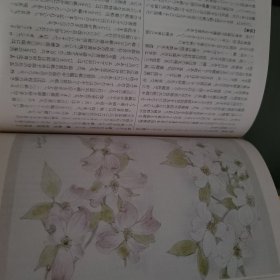 いけばな草花辞典