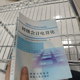 初级会计电算化