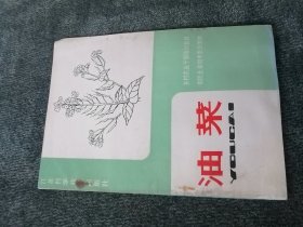 油菜