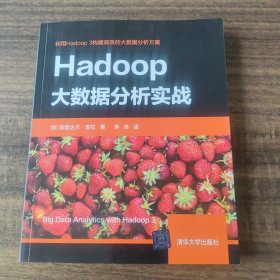 Hadoop大数据分析实战