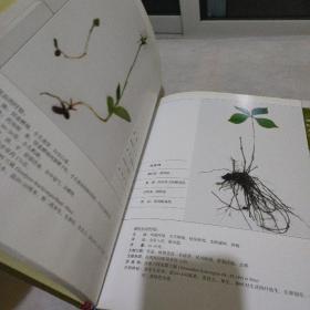 彝药本草.第1卷