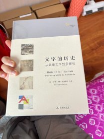 文字的历史：从表意文字到多媒体/文字与文明译丛