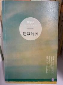 迷路的云：林清玄经典作品系列