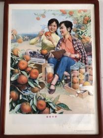 蜜桔丰收（对开，稀少，印量仅7千）