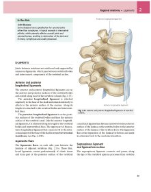 Gray’s Anatomy for Student