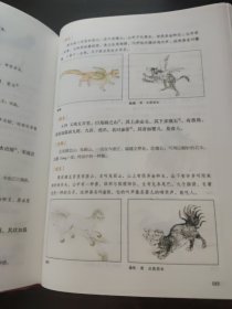 图说山海经（精装）