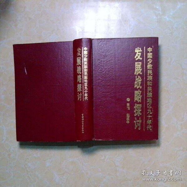 中国少数民族和民族地区九十年代发展战略探讨