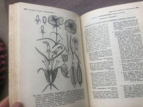 植物分类 （植物学大家朱彦丞藏书）外文版植物学、PLANT CLASSIFICATON LYMAN BENSON 精装16开688页厚本"