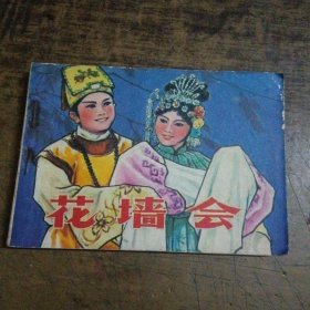 电影连环 花墙会