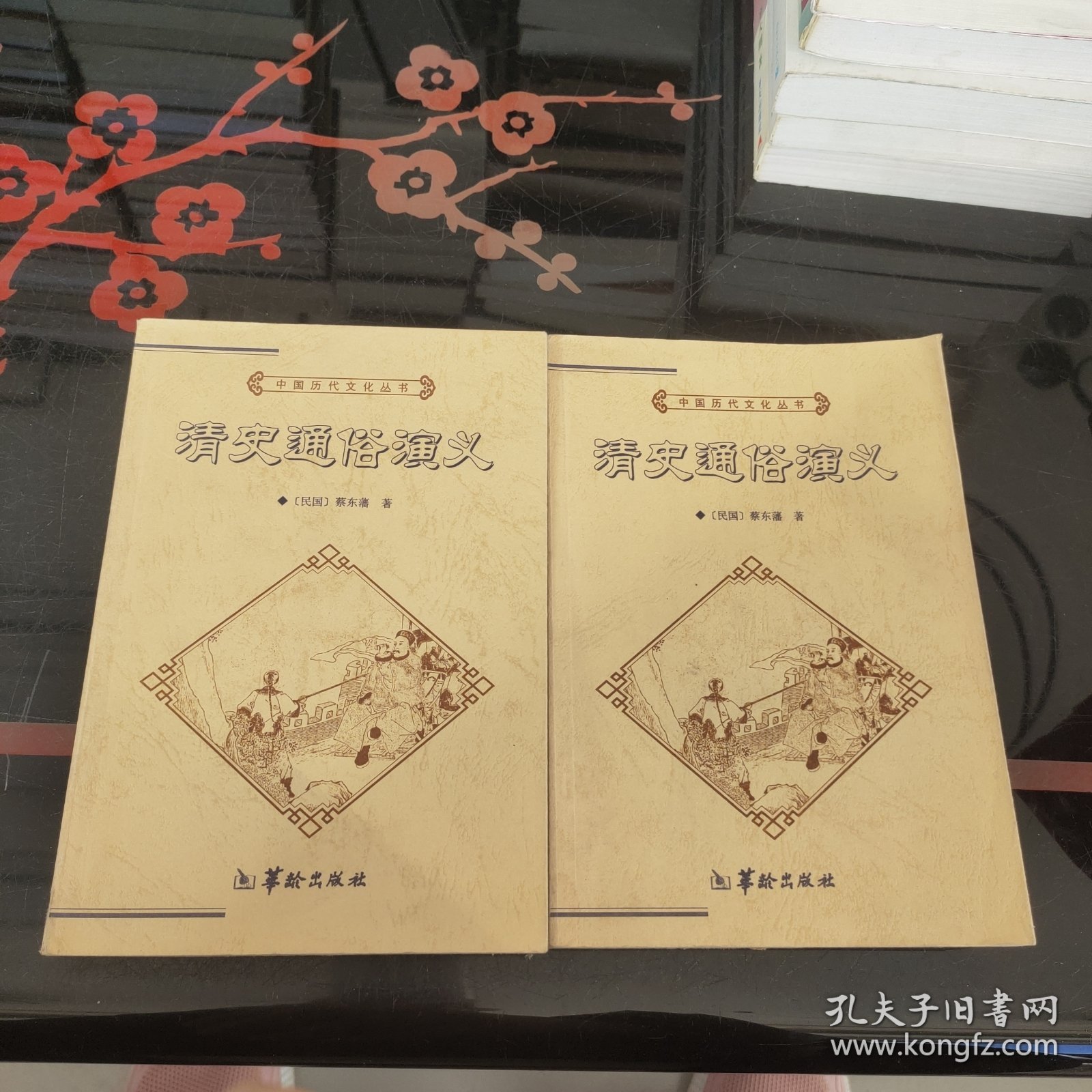 中国历代文化丛书：清史通俗演义 上下