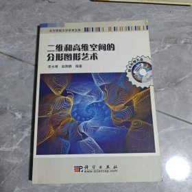 二维和高维空间的分形图形艺术 带光盘