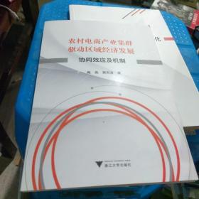 农村电商产业集群驱动区域经济发展：协同效应及机制