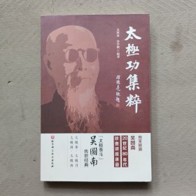 百家功夫丛书：太极功集粹