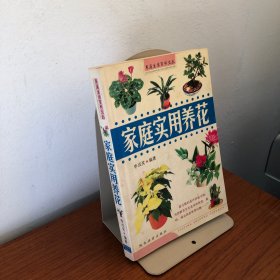 家庭实用养花