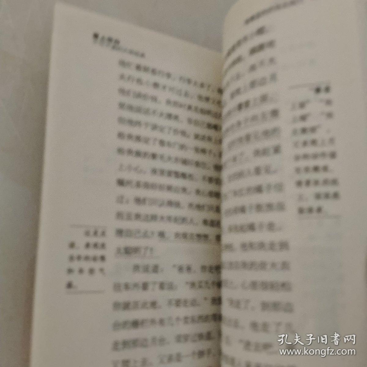 爱上写作不可不读的大师经典（骑着蓝色的鸟去旅行)