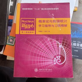 概率论与数理统计学习指导与习题精解/新核心理工基础教材