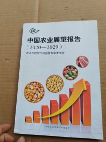中国农业展望报告（2020-2029）