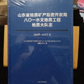 山东省地质矿产勘查开发局八0一水文地质工程地质大队志 1958-2017年（未拆封）