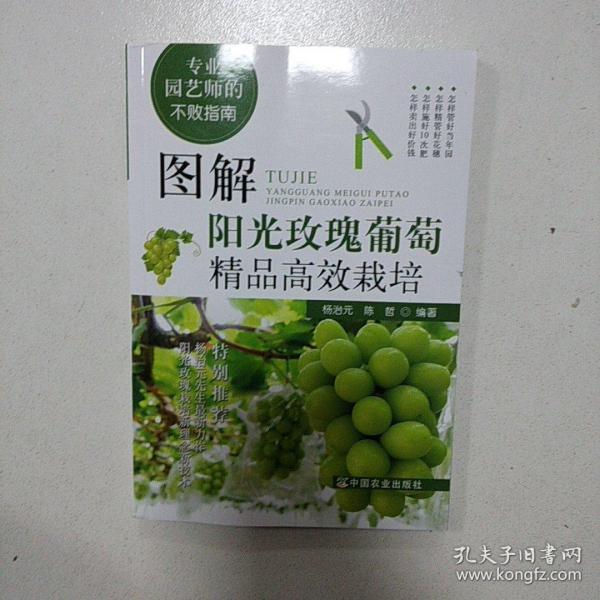 图解阳光玫瑰葡萄精品高效栽培(专业园艺师的不败指南)