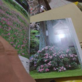 京都花名所
