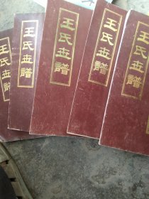 桓台县王氏家谱全5本合售如图