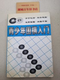 中国象棋残局精选