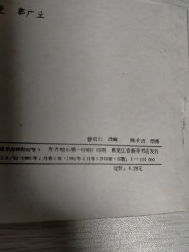 孤胆英雄，烈火金刚之一