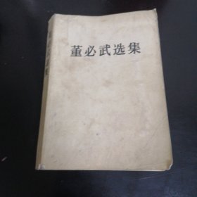 董必武选集