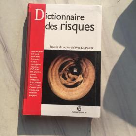 Dictionnaire des risques  风险字典