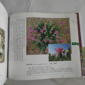 鄂托克生物资源