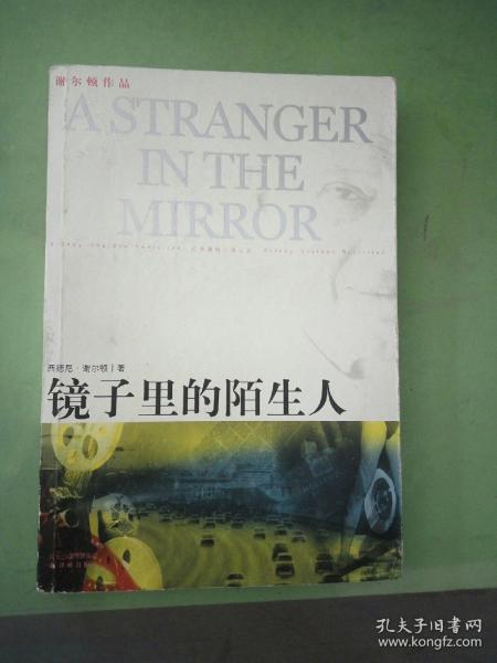 镜子里的陌生人