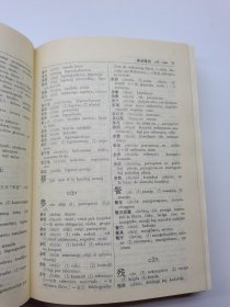 汉语世界语词典