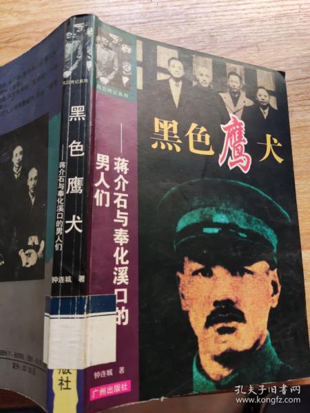 黑色鹰犬:蒋介石与奉化溪口的男人们