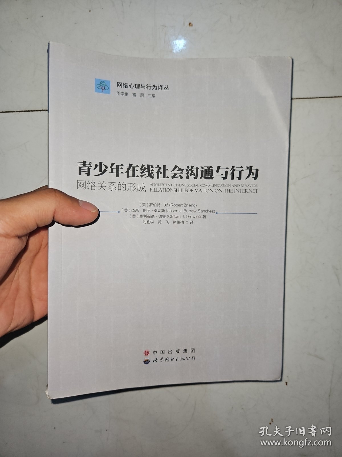 网络心理与行为译丛：青少年在线社会沟通与行为网络关系的形成