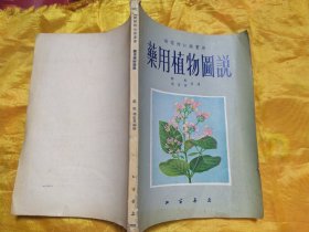 动植物知识画册   药用植物图说