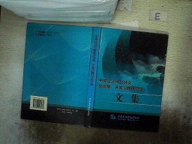 中国江河河口研究及治理、开发问题研讨会文集（精装）