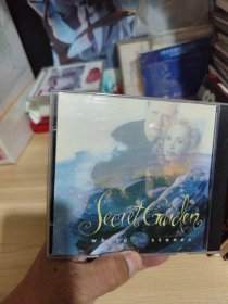 劲烧盘，无限天碟CD