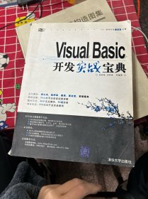 Visual Basic开发实战宝典