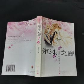 泡沫之夏Ⅱ..