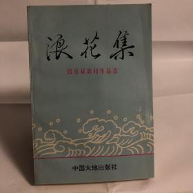 浪花集:邱家斌新闻作品选