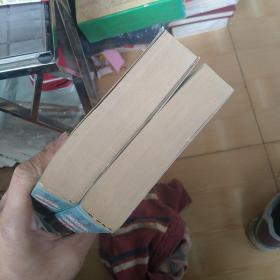 施公案（上下）中国古典将侠小说精品集