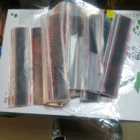 老照片底片370 张