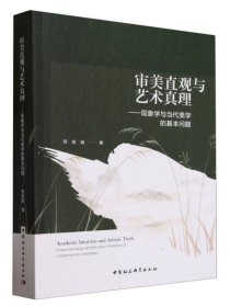 审美直观与艺术真理:现象学与当代美学的基本问题 苏宏斌著 中国社会科学出版社