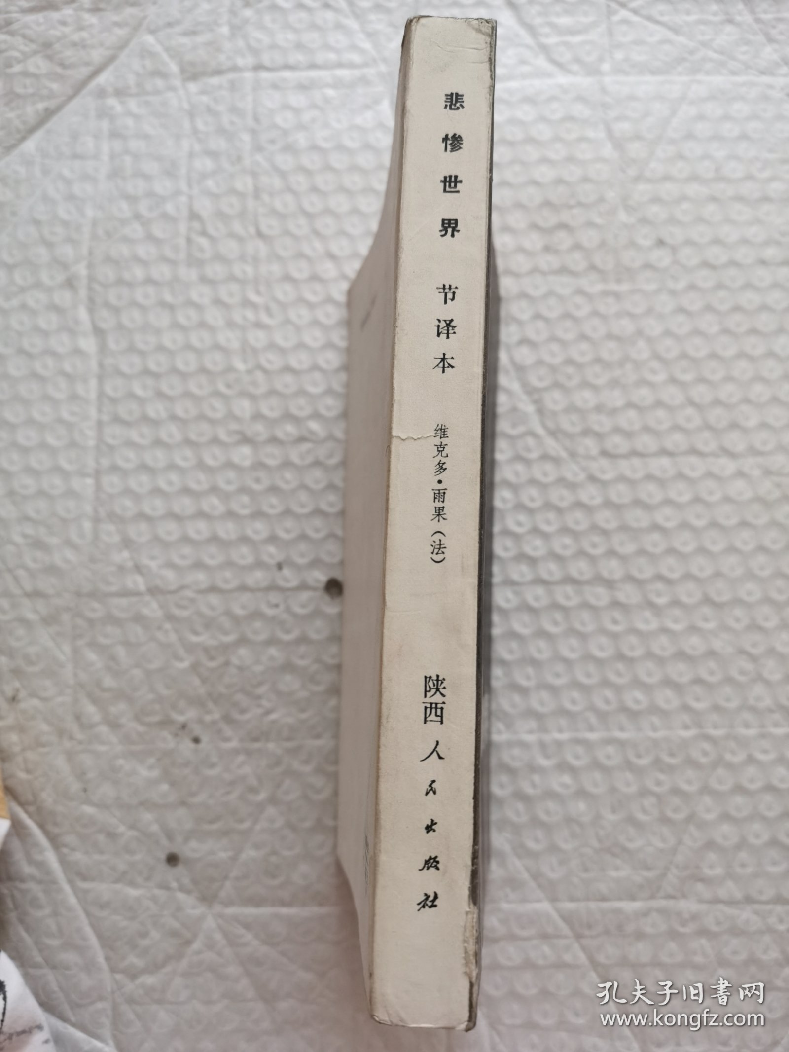 悲惨世界（节译本）