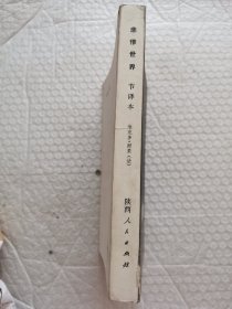 悲惨世界（节译本）