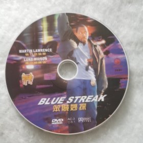 DVD裸碟 笨贼妙探