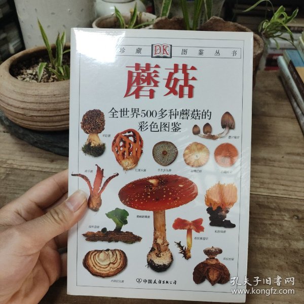 蘑菇：全世界500多种蘑菇的彩色图鉴